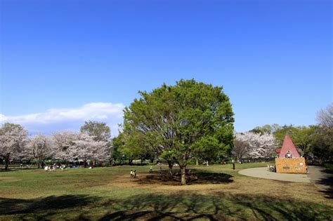 世田谷区 デート|【保存版】世田谷デート50選！関東在住の筆者おすすめの公園・。